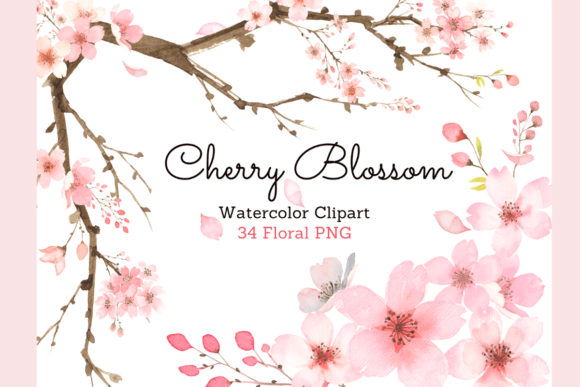 Download Cherry Blossom Watercolor Floral Clipart - Water Collection