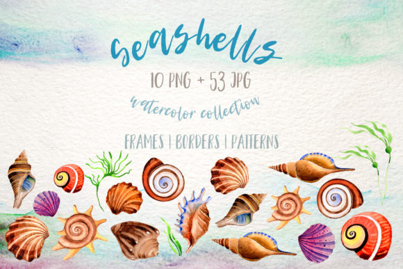 Download Watercolor Summer Beach Seashell Set - Water Collection