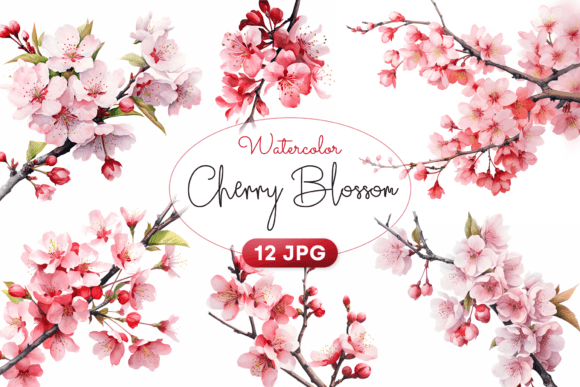 Download Watercolor Cherry Blossom Clipart - Water Collection