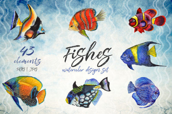 Download Sea Fishes PNG Watercolor Set - Water Collection