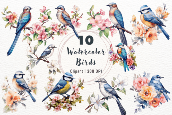 Download Watercolor Birds Clipart,Spring Birds - Water Collection