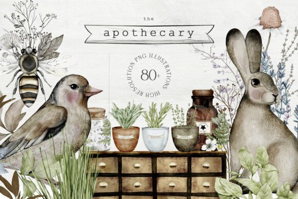 Download Apothecary Hand Drawn Watercolor PNG - Water Collection