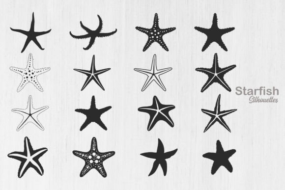 Download Starfish Silhouette, Starfish Icon - Starfish Collection
