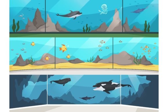 Download Museum Aquarium. Underwater Zoo Children - Water Collection