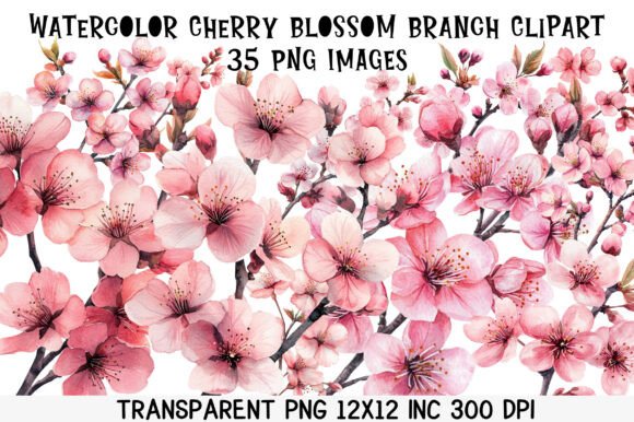 Download Watercolor Cherry Blossom Branch Clipart - Water Collection