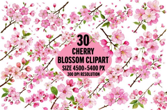 Download Watercolor Cherry Blossom Sakura Clipart - Water Collection
