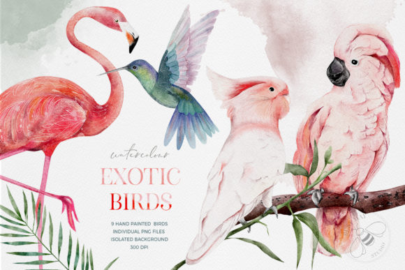Download Watercolor Exotic Birds Tropical PNG - Water Collection