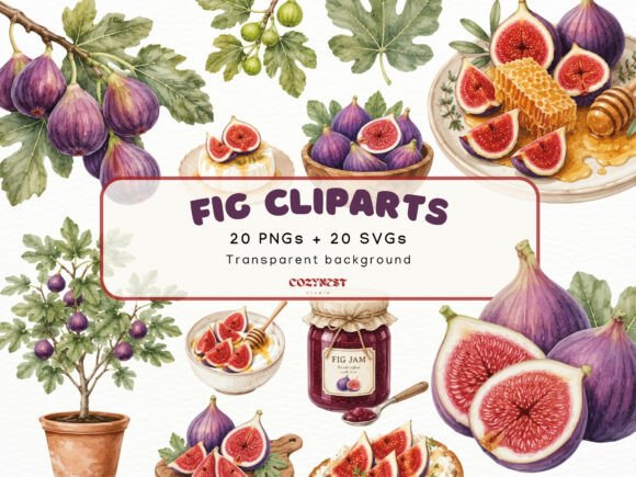 Download Fig Watercolor Cliparts, Botanical PNG - Water Collection