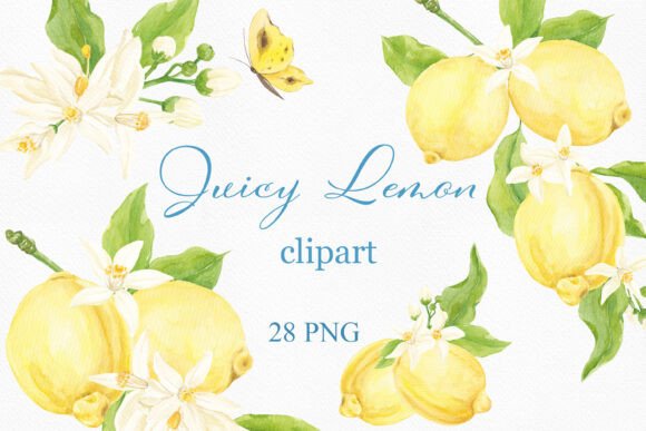 Download Watercolor Lemon Clipart, Arrangements - Water Collection
